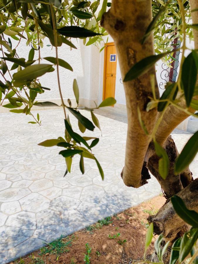 Villa Eagle Terrasini Kültér fotó