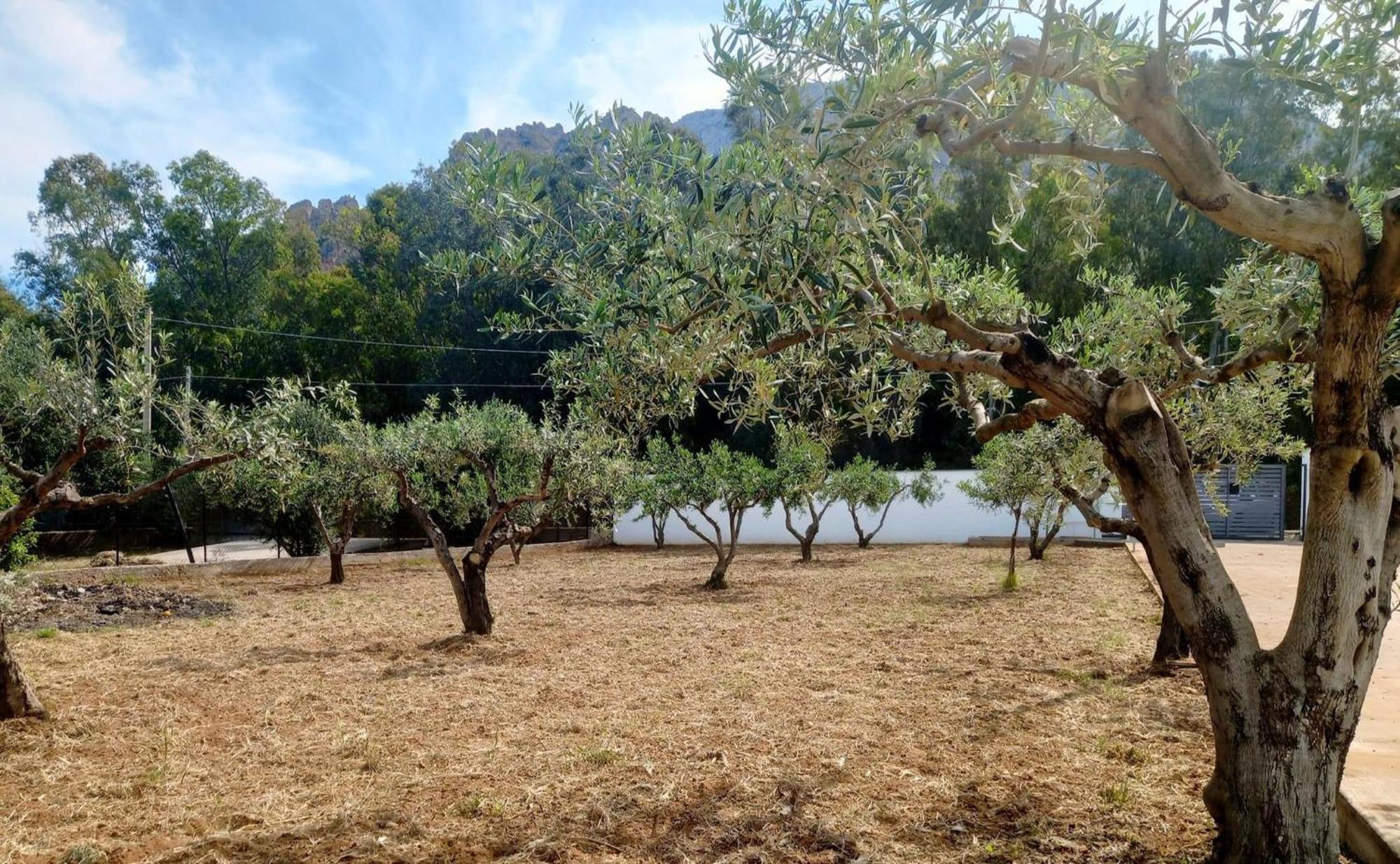 Villa Eagle Terrasini Kültér fotó