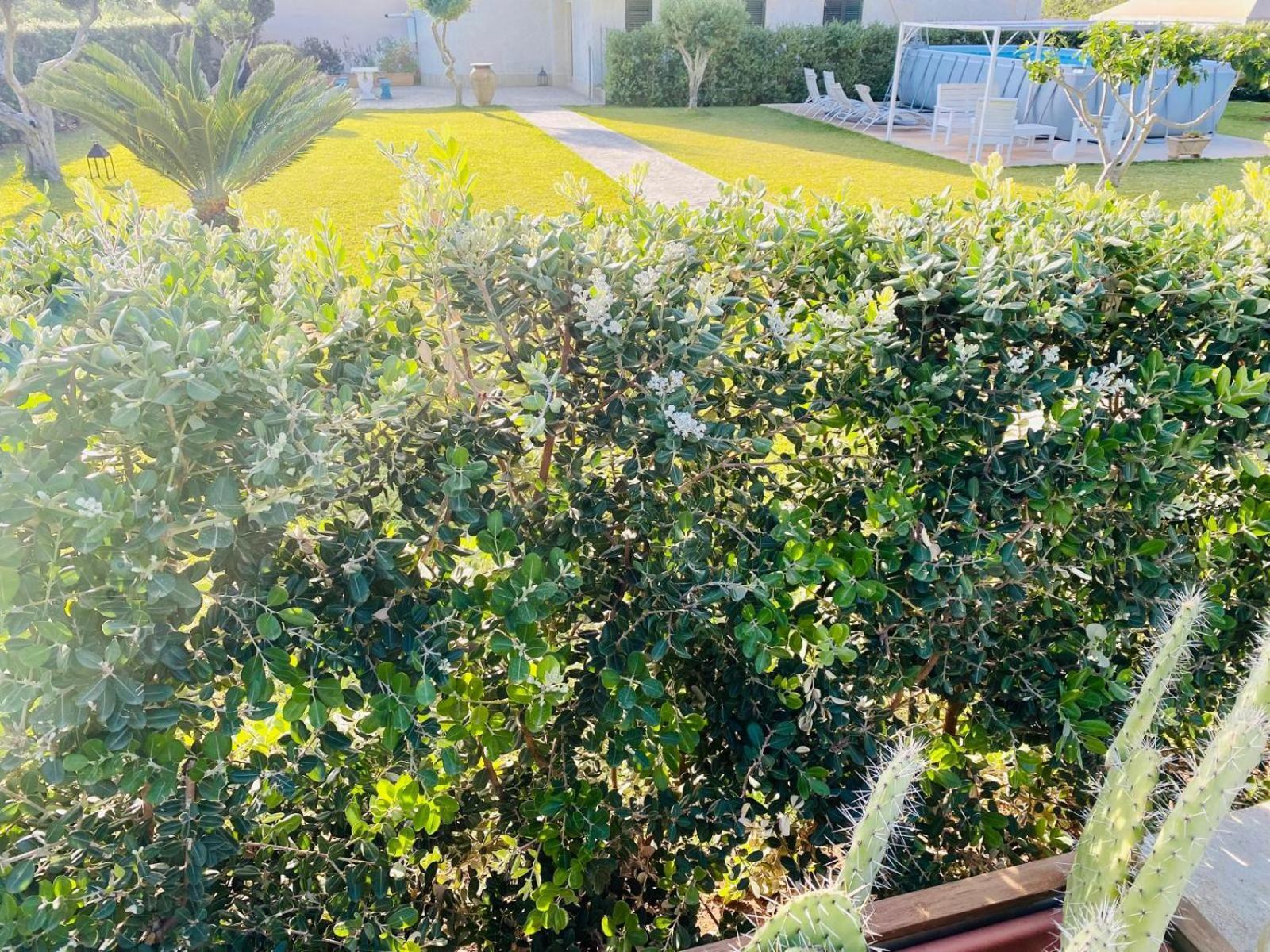 Villa Eagle Terrasini Kültér fotó